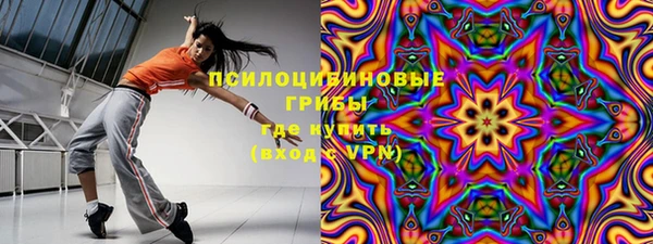 СК Осинники