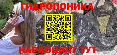 дмт Аргун