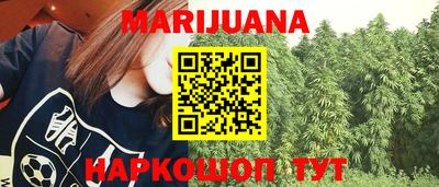 дмт Аргун
