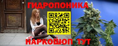 дмт Аргун