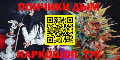 дмт Аргун