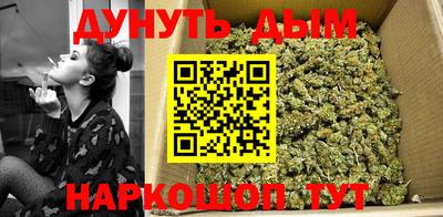 дмт Аргун