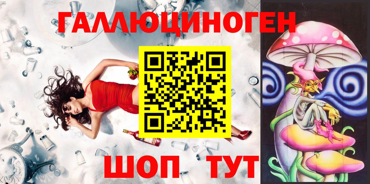 Галлюциногенные грибы Psilocybe Новоалександровск