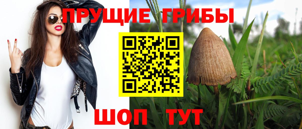 Псилоцибиновые грибы MAGIC MUSHROOMS  Вход с VPN  Новоалександровск  Галлюциногенные грибы Cubensis 