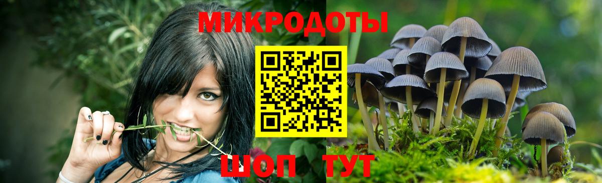 купить   Новоалександровск  Галлюциногенные грибы ЛСД 